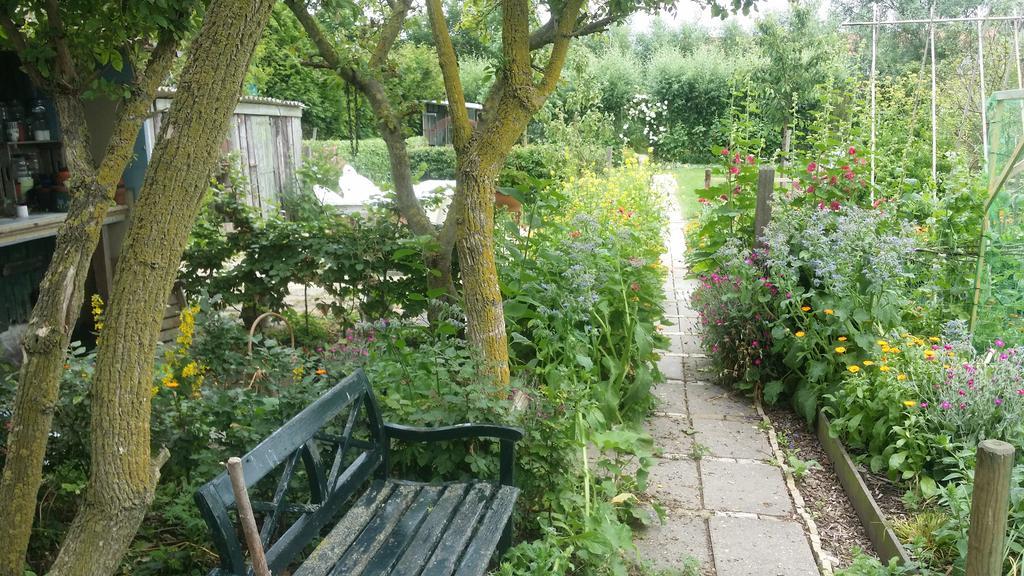 De Kluiskaemer In De Olde Banck Stavoren Exteriér fotografie